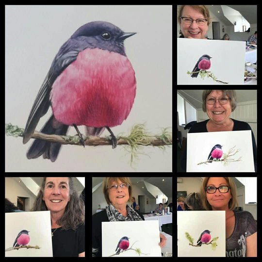 Heidi Willis_watercolour_bird painting_botanical workshop_tasmania