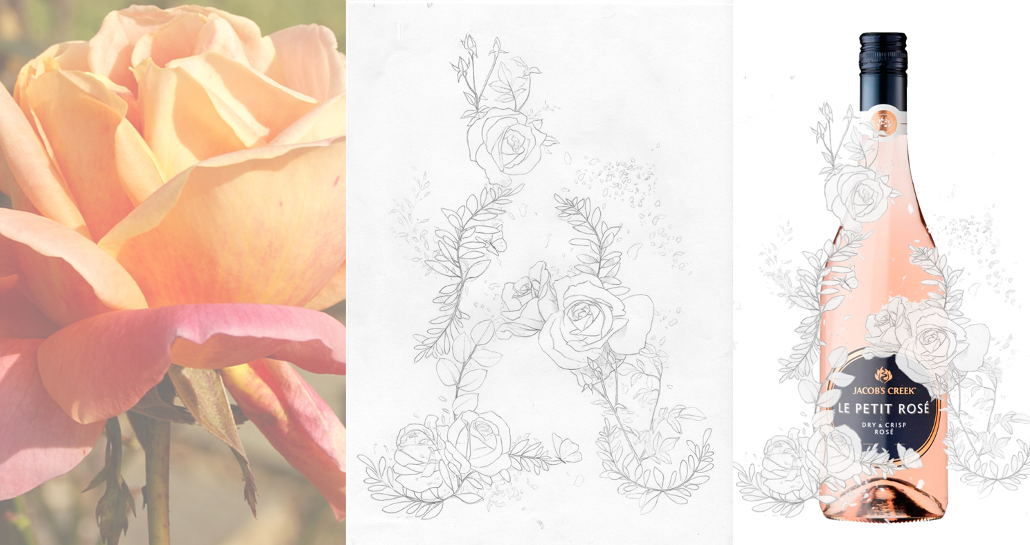 Heidi-Willis_wine-label-illustration_artist_botanical copy