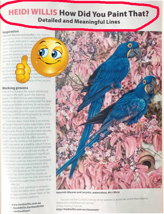 heidi willis_artist_australian artist magazine_bird painting_watercolour