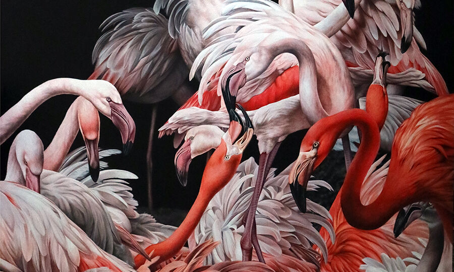 heidi willis_bird painting_artist_flamingos