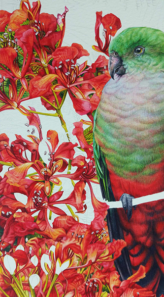 heidi willis_bird painting_king parrots_watercolour