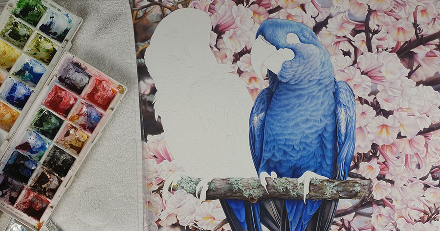 heidi willis_lears macaw painting_bird artist_watercolour