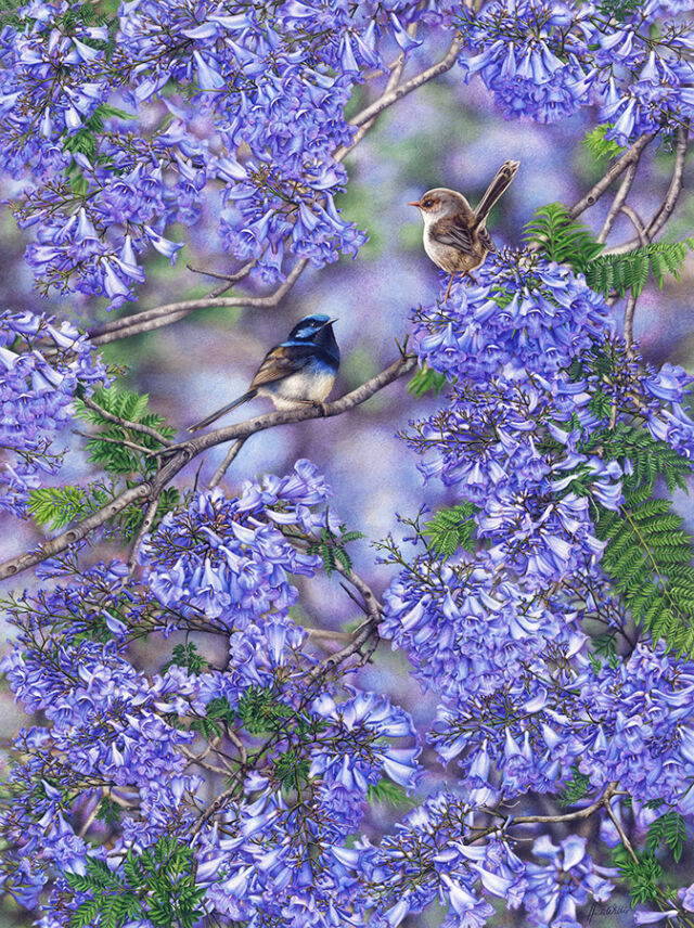 heidi willis_bird artist_jacaranda blooms_ painting