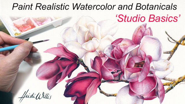 Heidi-Willis_Online-Tutorial_Watercolor_Watercolour-Painting_Botanical