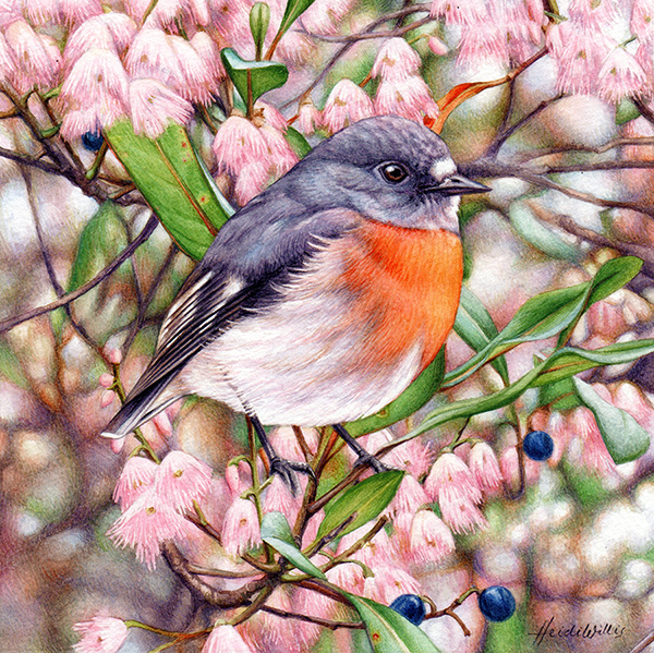 Scarlet Robin and Blueberry Ash Painting
