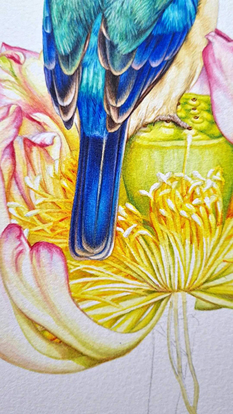 Simon Says Stamp | Sketch Lotus Flowers & Polychromos Coloring. Video (Blog  Hop & Giveaway) | Yana Smakula