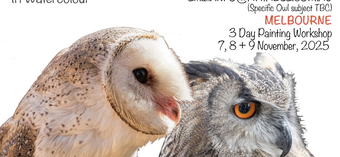 Heidi Willis_Owl painting workshop_melbourne