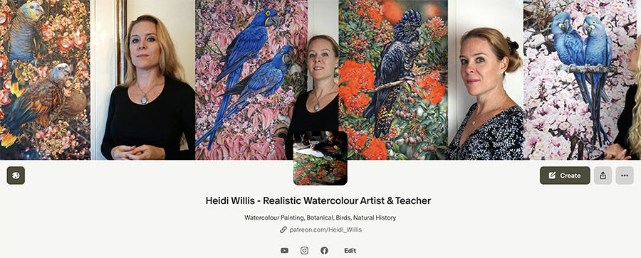heidi willis_patreon_artist_illustrator_bird painting_botanical illustration_teacher
