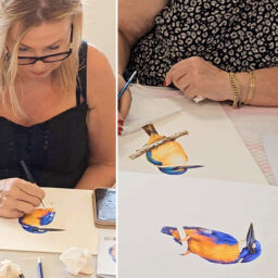 gold coast painting workshop_kingfisher illustration_watercolour_birds