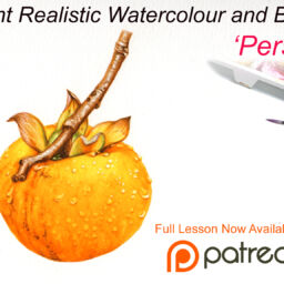 Persimmon Painitng Lesson_Patreon