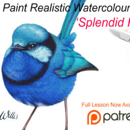 heidi willis_artist_painting teacher_online lesson_bird_watercolour_botanical