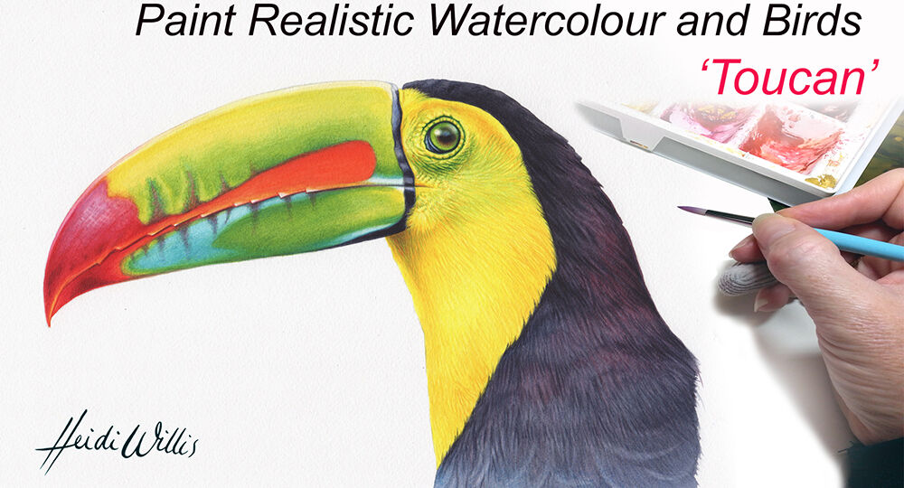 toucan bird painting course tutorial in watercolour