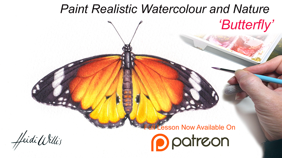 heidi willis_onling paontong lesson_butterfly illustration_watercolour_watercolor