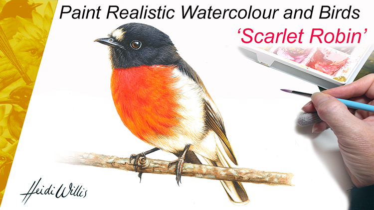 s_Scarlet Robin_Heidi Willis_Painting tutorial