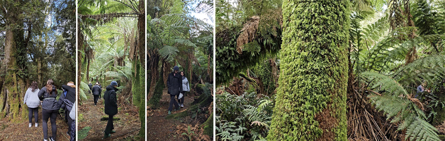 heidi willis tasmania painting retreat and watercolour workshop