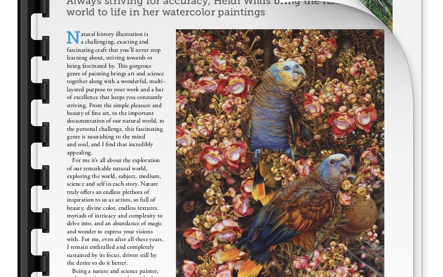 heidi willis_international artist magazing_bird painting_realistic watercolor