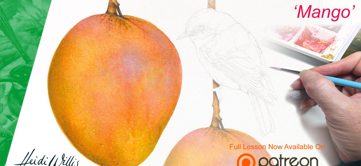 Heidi Willis_Watercolour Mango Online Painting Tutorial