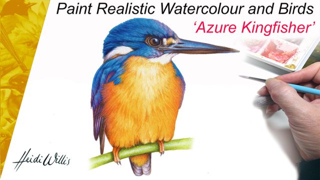 s_Heidi Willis_Kingfisher Painting Tutorial