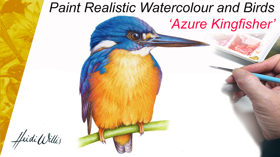 s_Heidi Willis_Kingfisher Painting Tutorial