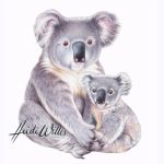Koala Illustration In Watercolour