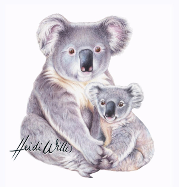 Koala Illustration In Watercolour