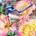 Superb Wren & Roses In Watercolour