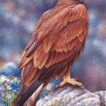 Raptor And Cornflowers – Miniature In Watercolour Commission