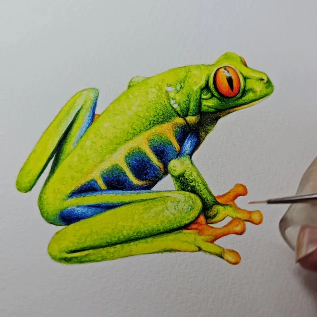 I'm on the hop this morning myself, but I wanted to share my little frog #painting with you before the day gets away from me once again! Tomorrow the in depth #onlinepaintingcourse for this sweet frog goes live for you to enjoy, and I'll post all the info on this for you tomorrow, but here's a look at our newest #painting challenge in the meantime. I hope to see you there! 

If youd like to check out what else is available for you, online and face to face, hit the link in my bio for all the details.

Thanks to Kelen Soares for the reference image for this painting 🙏

#frogpainting #frogillustration #realisticwatercolor #realisticpainting #realisticwatercolour #onlinepainting #onlinepaintingclass #learnwatercolor #learntopaint #learnwatercolour #paintingtutorial #artclass
